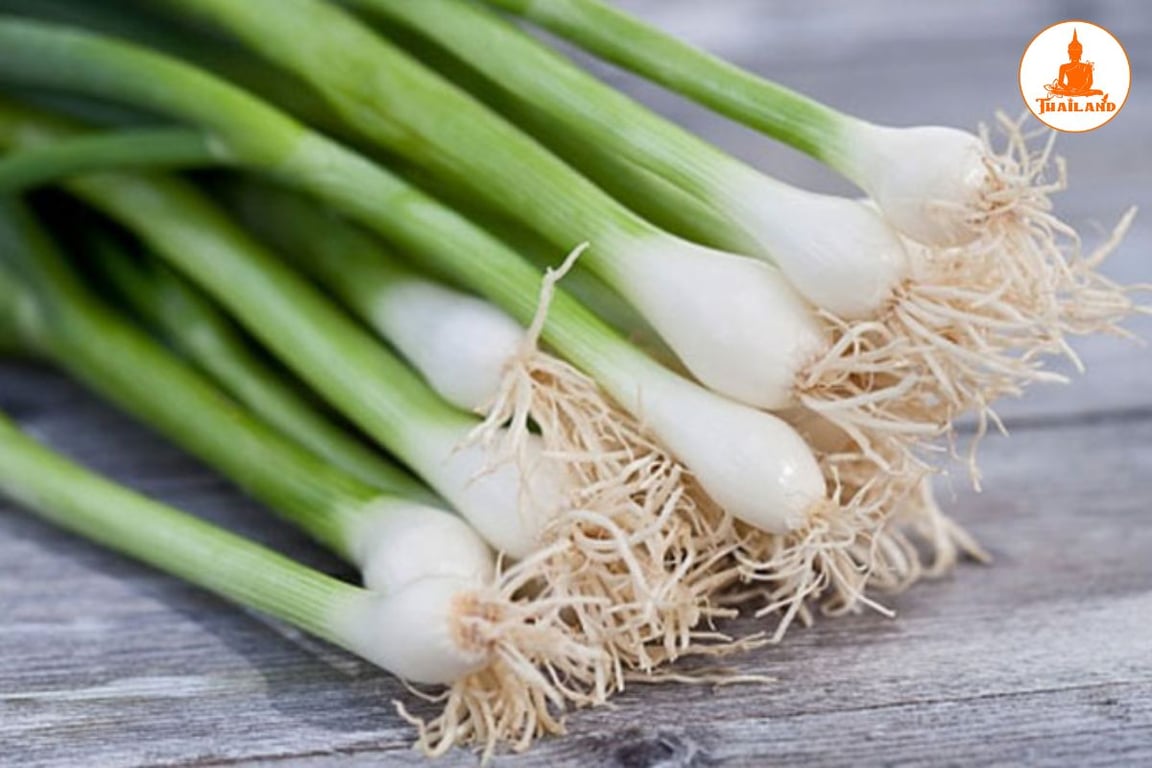 Hành lá giúp làm dịu da, giảm ngứa hiệu quả