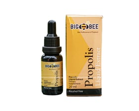 Keo ong kháng khuẩn BigBee Propolis Liquid Extract