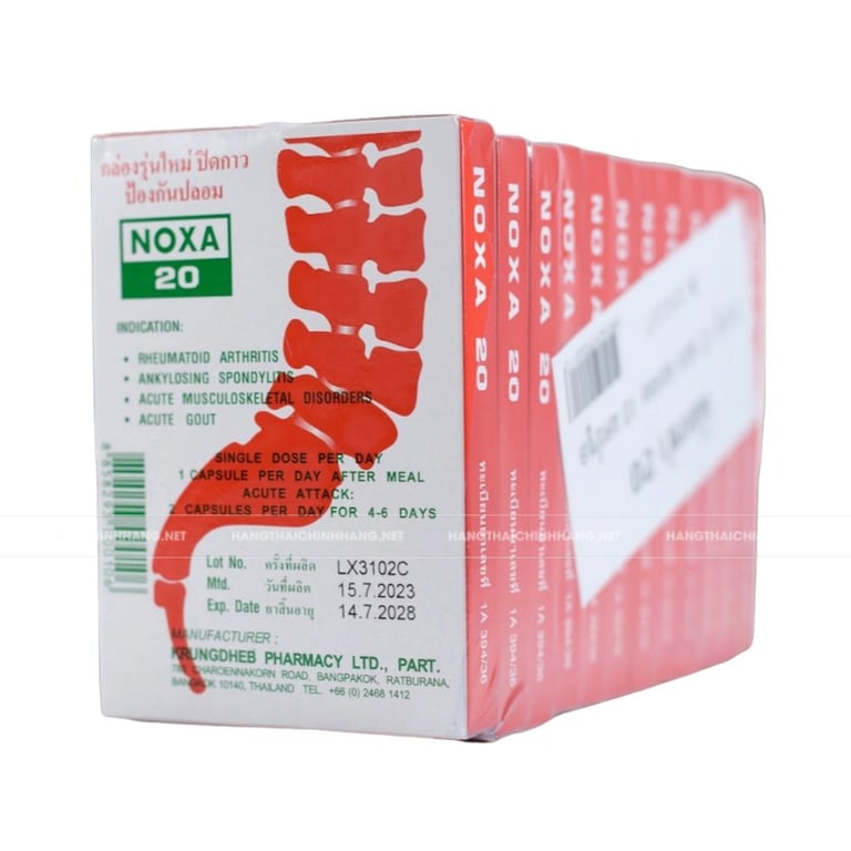 Lốc 12 hộp thuốc giảm đau nhức xương khớp Noxa 20 Thái Lan