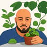 foliage_fella's avatar