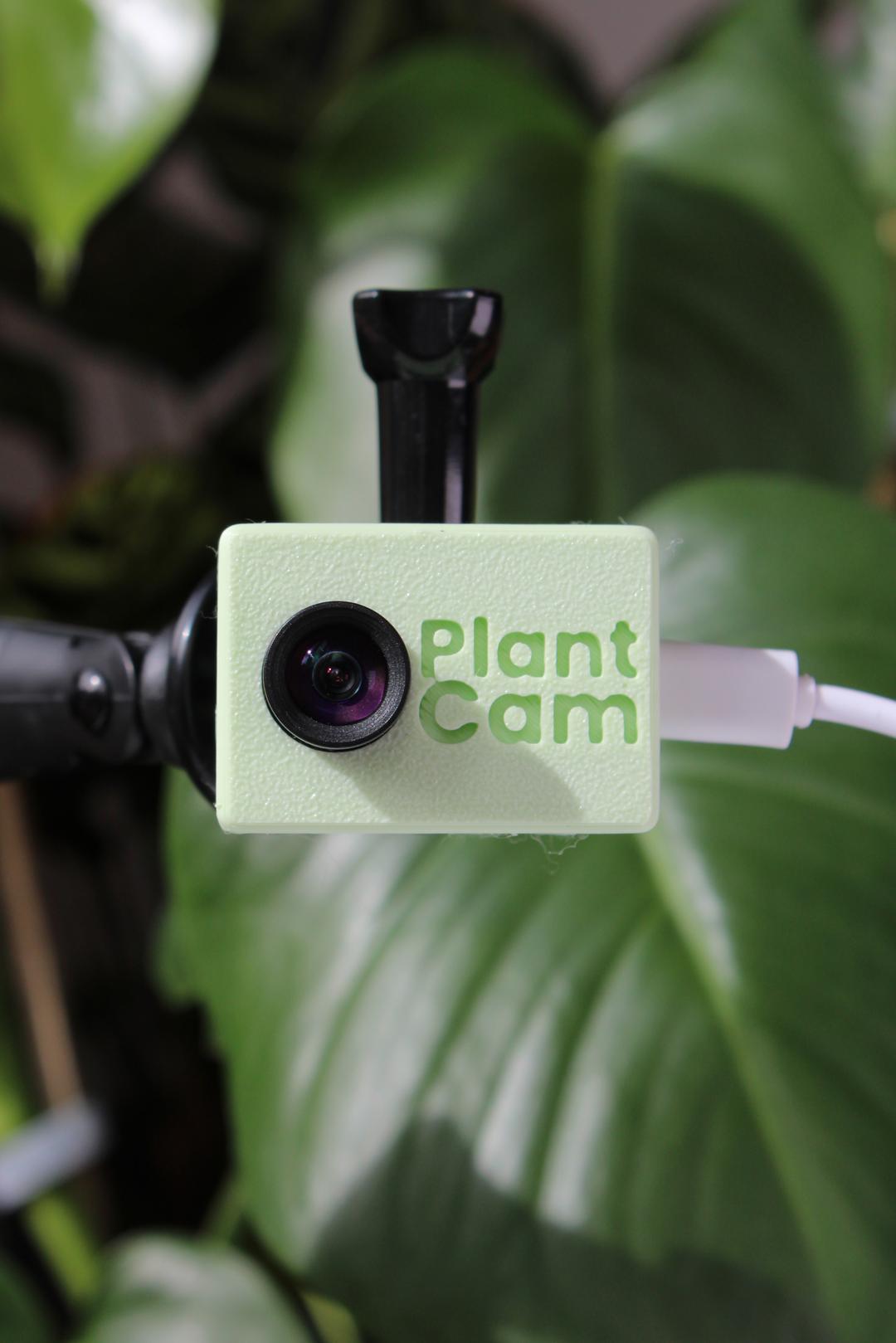 Wie PlantCam mit DSLR-Kameras konkurriert
