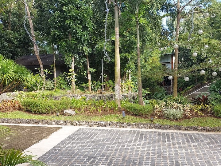 House of Gaia clinic photo 9