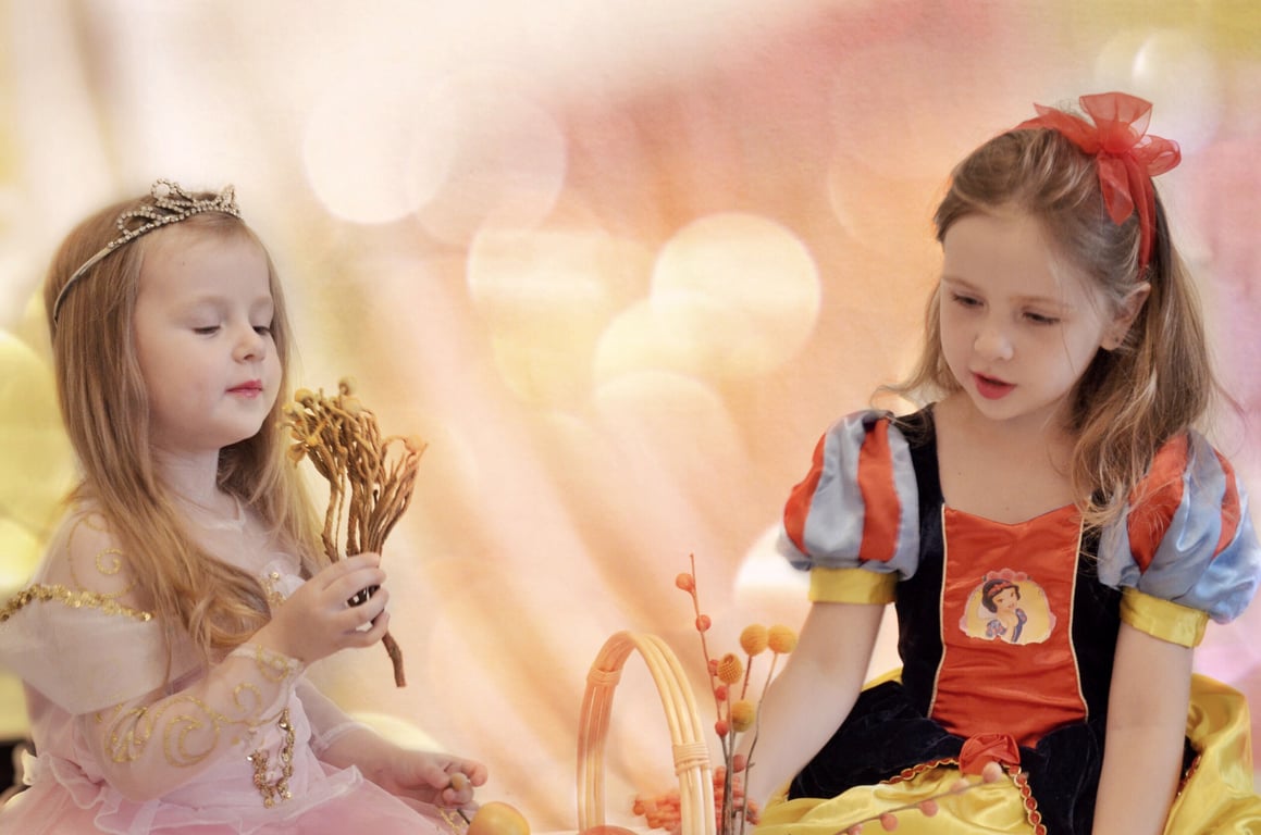 Princess themed invitation