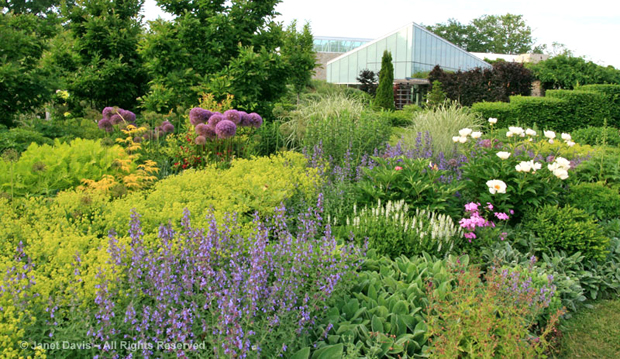 Toronto Botanical Garden