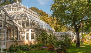 Allan Gardens