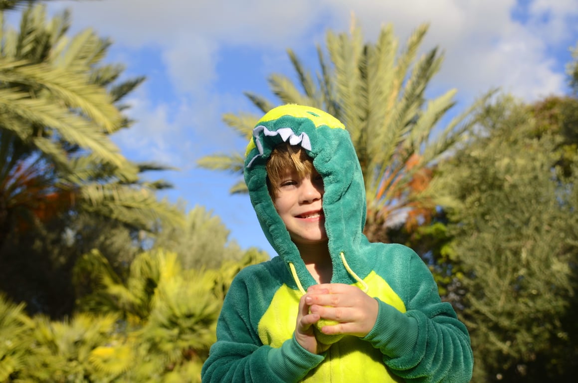 A smiling child wearing a green and yellow dinosaur costume with a hood shaped like dinosaur jaws.