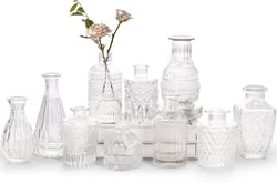 Glass Bud Vase Set of 10 - Small Vases for Flowers, Clear Bud Vases in Bulk, Cute Glass Vases for Centerpieces