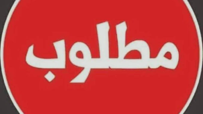 وظائف خالية_123122312312 وظائف خالية_123122312312