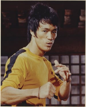Lyndon Zhang