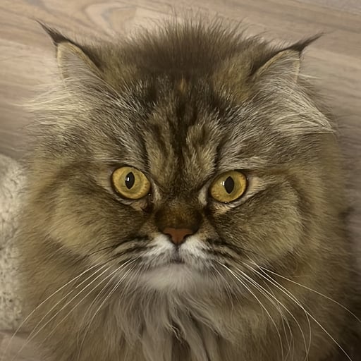 Cris Jiménez Quesada