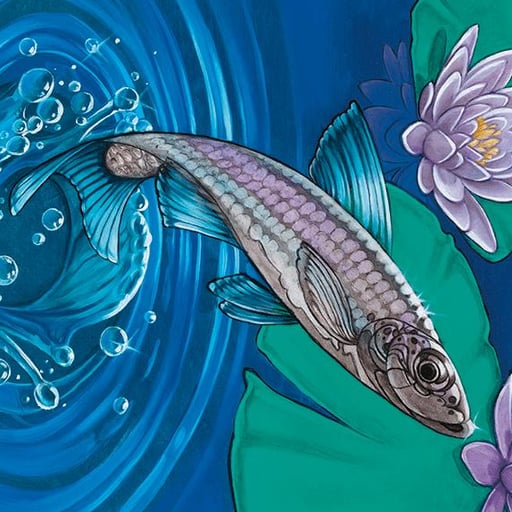 🎁☝️/☝️ ⤵️ 🐟