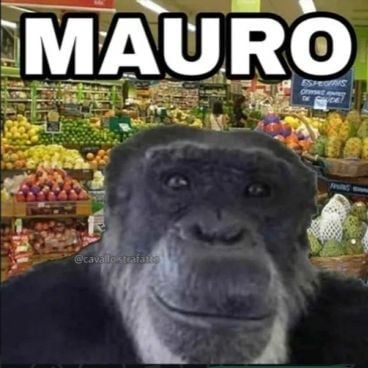 Mauro Gómez 