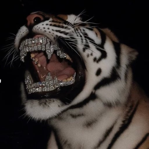 Ricky Loza (S.N.L. CEDH)