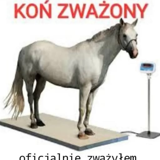 Maciek Lop