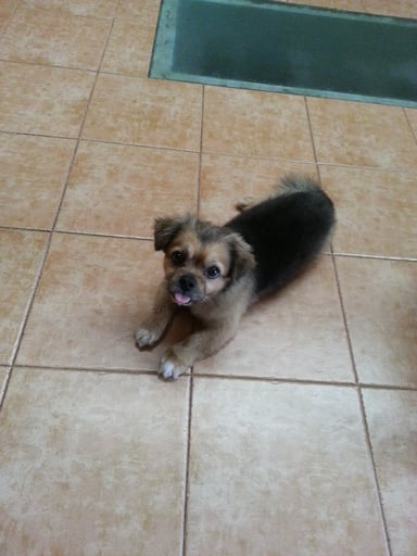 JAVIER POLO ALEIXANDRE