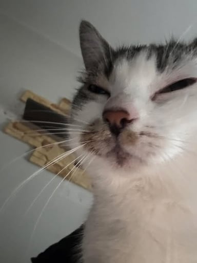 Jarek reytgarr Kuśnierz