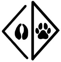 Cowdog Game Store