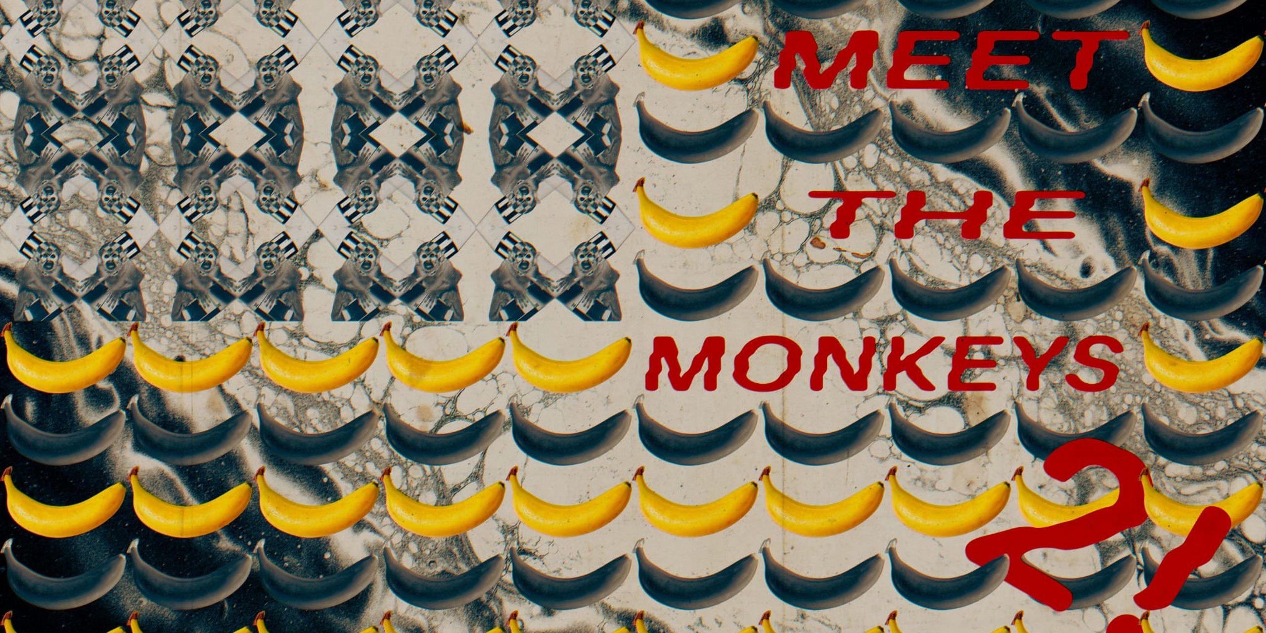 Meet the monkeys 2 - European cEDH Championship Qualifier
