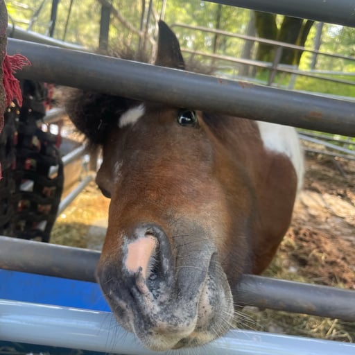 [RIP] Brian Simpson(Serotinous_sequoia)