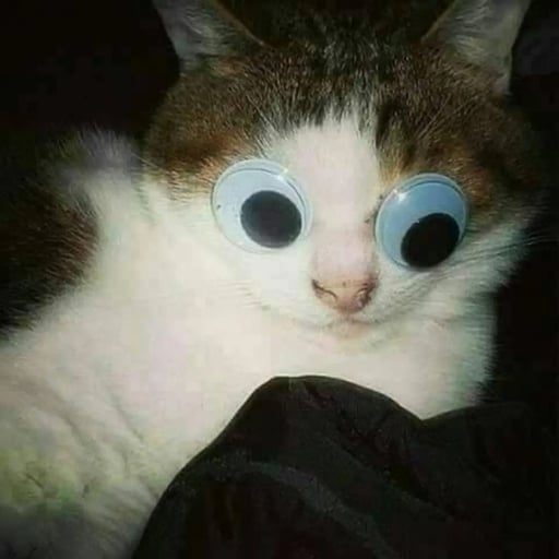 Carlos Alberto Durand Martinez