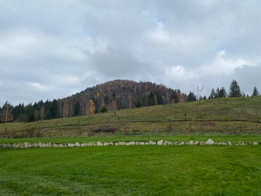 Cахарное печенье