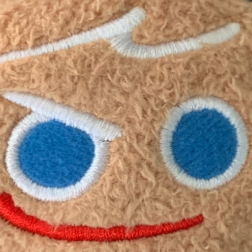 Dalgona Cookie