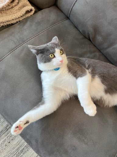 Pete L.