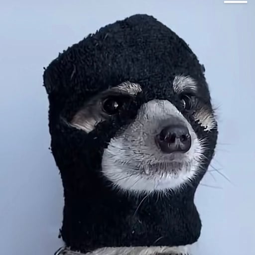 Angelo