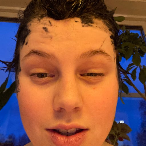 Box/bertil/björk ✨