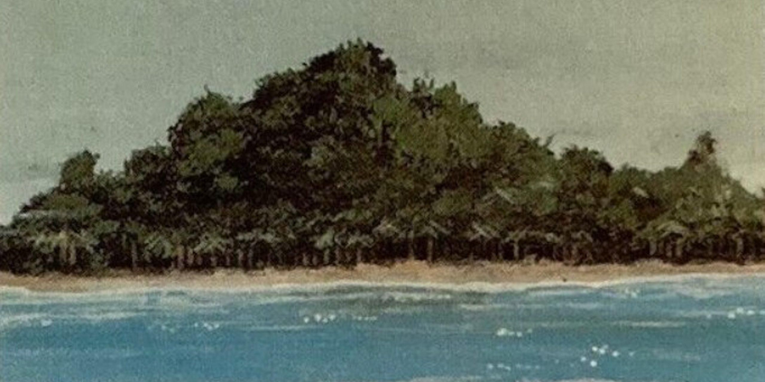 cEDH Commander - Win a Tropical Island!!! Crypt/Jlotus/Dockside/Nadu still legal for this event. 
