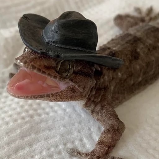 Dylan (Frosty) Rolfe