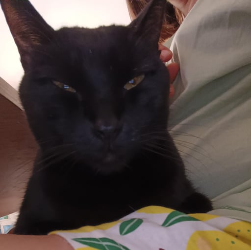 Antonio Burillo Orenes