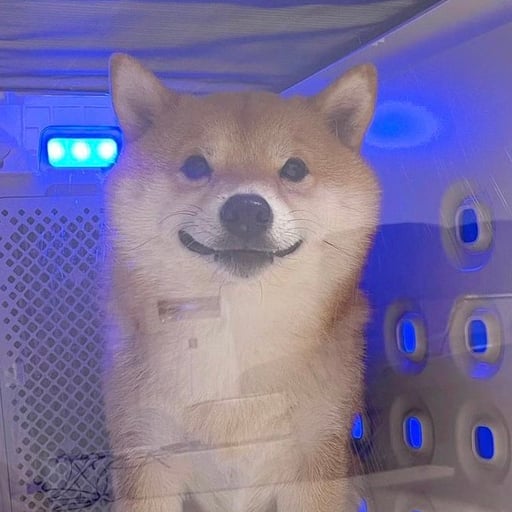 David Da Silva Ambrosio