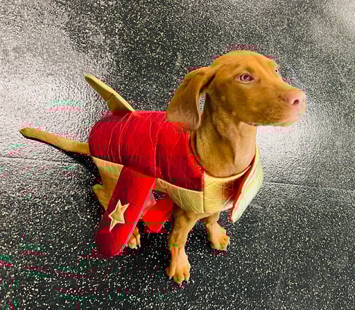 [abcEDH] Ethan Barber