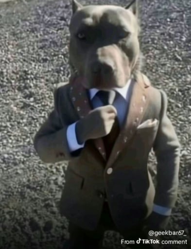 Robert 