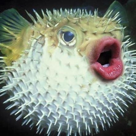 [SCT.] Marcos Martinez