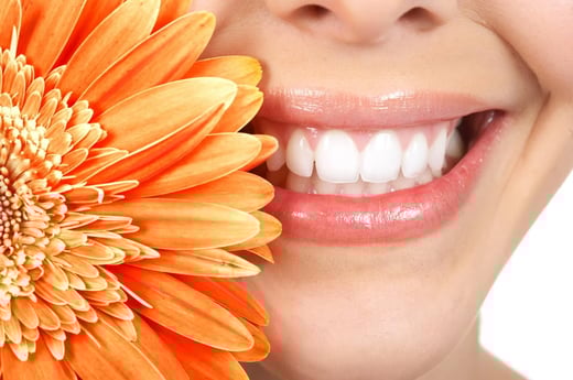 Larchmont Dental Associates