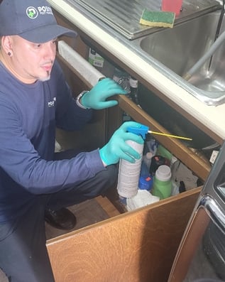 Positive Pest Management