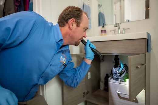 Thrasher Pest Control