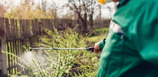 Green Home Pest Control