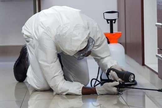 Dynasty Pest Control