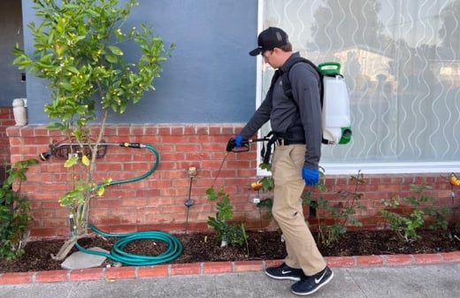 Banner Pest Services