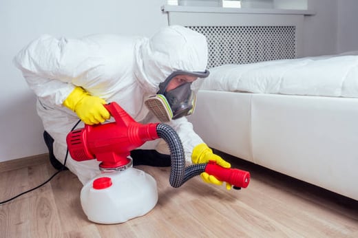 Bed Bug Exterminator Philly