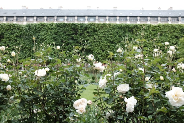 Paris Gardens 