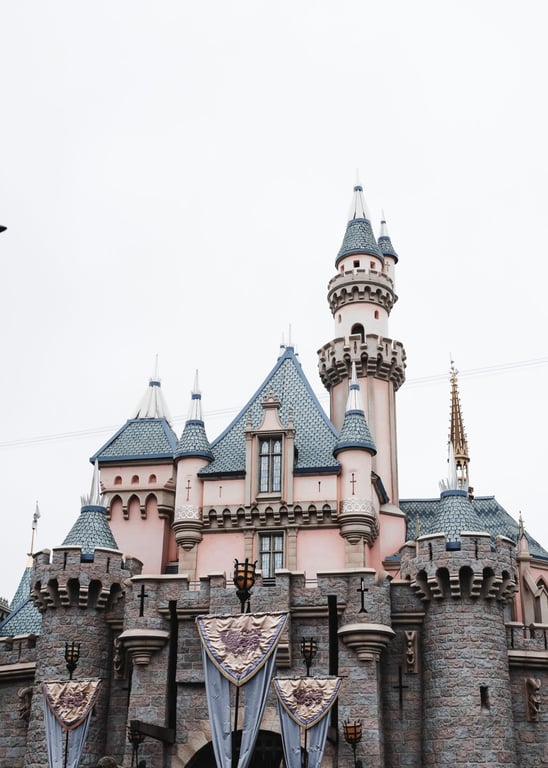 disneyland castle