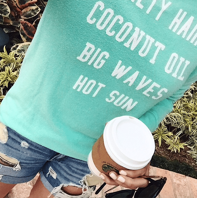 wildfox summer sweatshirt