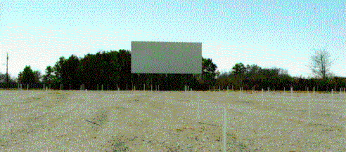 screen and field