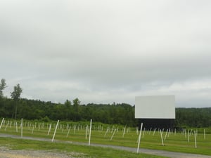 screen and field