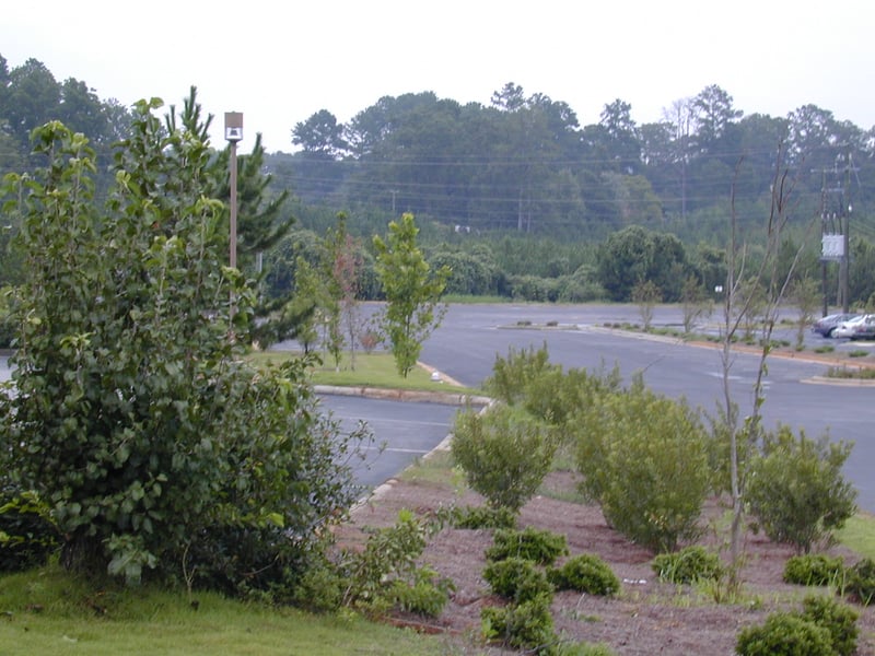 site where the drive-in used to stand
