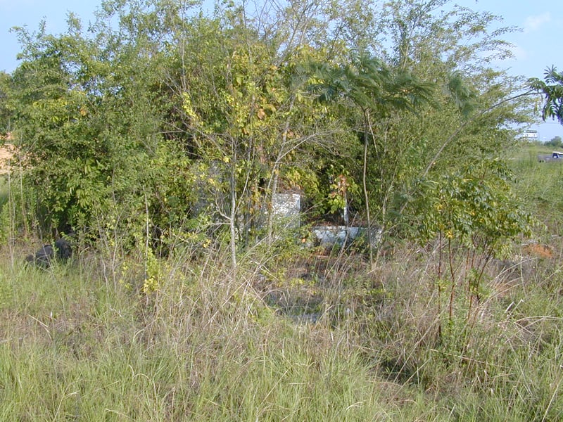 front lot bleachers; taken September 4, 2000